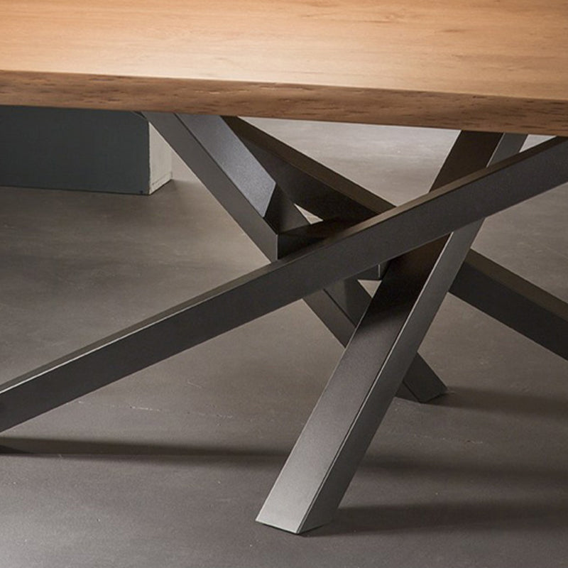 Rectangle Pedestal Luxury Dining Table Solid Wood Fixed Table for Home Clearhalo ' dining_table' 'Dining Tables & Seating' 'Dining Tables' 'furn' 'furn_dining_table' 'Furniture' 'furniture_dining_table' 'Kitchen & Dining Furniture' 'kitchen&dining_furn' 'kitchen' 'kitchen_dining_table' 4572049