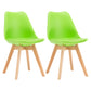 Modern Beech Solid Back Side Chair Matte Finish Plastic Dining Chair Green Set of 2 Clearhalo ' kitchen&dining_furn' 'Dining Chairs' 'Dining Tables & Seating' 'dining_chair' 'Furniture' 'furniture_dining_chair' 'Kitchen & Dining Furniture' 'kitchen' 4572699