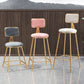 Glam Round Counter Bar Stool Upholstered Backrest Bar Stool with Footrest Clearhalo 'Bar Furniture' 'Bar Stools' 'bar_stools' 'furn' 'furn_bar_stools' 'furniture_bar_stools' 'Kitchen & Dining Furniture' 'kitchen&dining_furn' 'kitchen' 'kitchen_furn' Furniture' 4576373