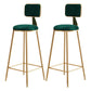 Glam Round Counter Bar Stool Upholstered Backrest Bar Stool with Footrest Green 2 Piece Set Clearhalo 'Bar Furniture' 'Bar Stools' 'bar_stools' 'furn' 'furn_bar_stools' 'furniture_bar_stools' 'Kitchen & Dining Furniture' 'kitchen&dining_furn' 'kitchen' 'kitchen_furn' Furniture' 4576401
