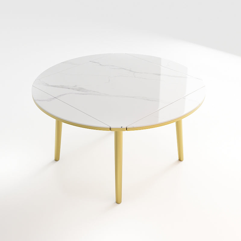 Glam 1/2/5/7 Pieces Dining Set Round Sintered Stone Dining Table for Dining Room White 47"L x 47"W Clearhalo 'Dining Room Sets' 'Dining Tables & Seating' 'dining_room_set' 'furn' 'furn_dining_room_set' 'Furniture' 'furniture_dining_room_set' 'Kitchen & Dining Furniture' 'kitchen&dining_furn' 'kitchen' 4576756