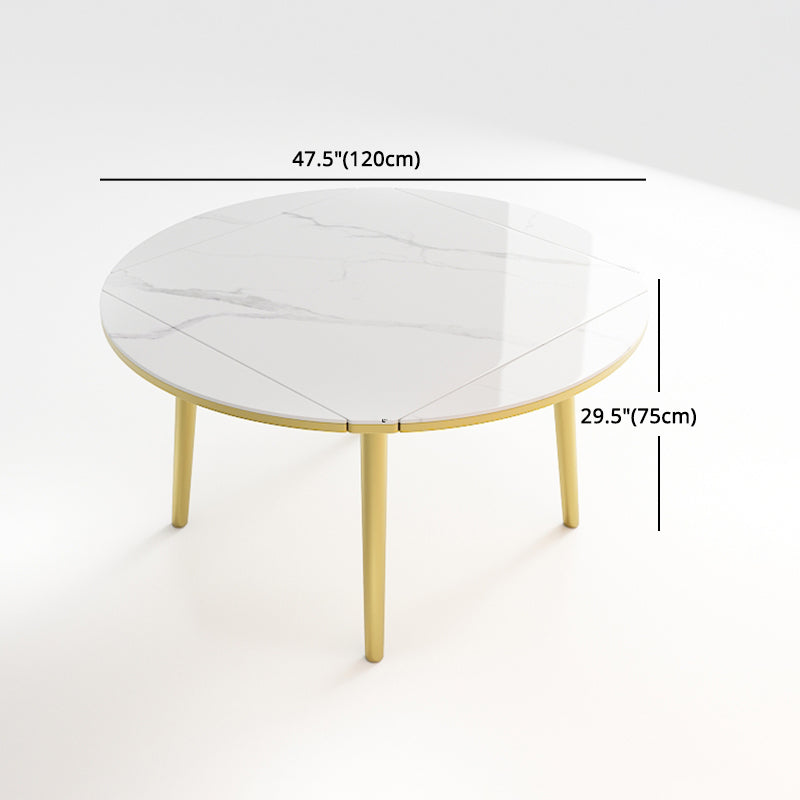 Glam 1/2/5/7 Pieces Dining Set Round Sintered Stone Dining Table for Dining Room Clearhalo 'Dining Room Sets' 'Dining Tables & Seating' 'dining_room_set' 'furn' 'furn_dining_room_set' 'Furniture' 'furniture_dining_room_set' 'Kitchen & Dining Furniture' 'kitchen&dining_furn' 'kitchen' 4576765