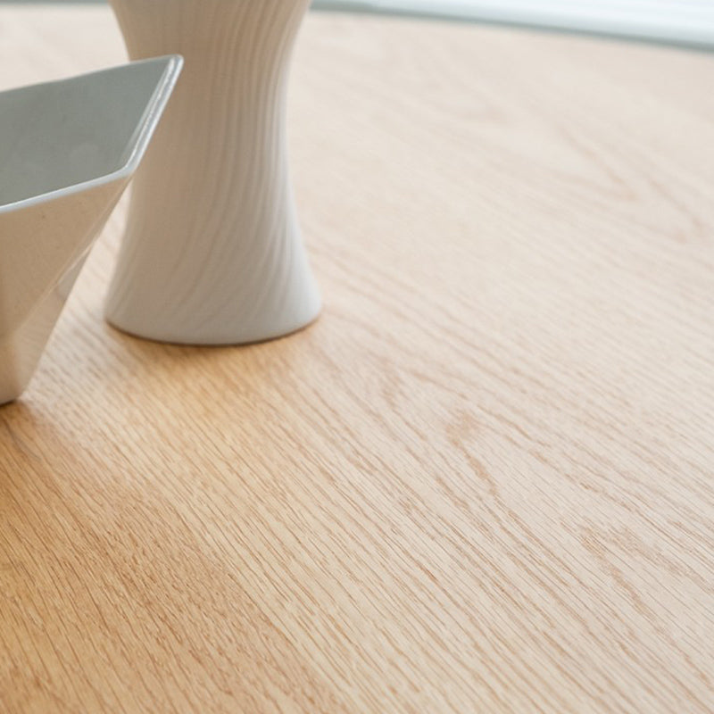 Solid Wood Dining Table Round Modern Pedestal Dining Table for Home Use Clearhalo ' dining_table' 'Dining Tables & Seating' 'Dining Tables' 'furn' 'furn_dining_table' 'Furniture' 'furniture_dining_table' 'Kitchen & Dining Furniture' 'kitchen&dining_furn' 'kitchen' 'kitchen_dining_table' 4577033
