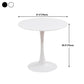 Modern Round Dinette Table Tulip Base Dining Table for Restaurant Clearhalo ' dining_table' 'Dining Tables & Seating' 'Dining Tables' 'furn' 'furn_dining_table' 'Furniture' 'furniture_dining_table' 'Kitchen & Dining Furniture' 'kitchen&dining_furn' 'kitchen' 'kitchen_dining_table' 4577100
