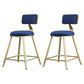 Glam Armless Backrest Counter Stool Steel Cafe Bar Stool with Velvet Cushion and Pedal Blue 2 Piece Set Short Stool(18"H) Clearhalo 'Bar Furniture' 'Bar Stools' 'bar_stools' 'furn' 'furn_bar_stools' 'furniture_bar_stools' 'Kitchen & Dining Furniture' 'kitchen&dining_furn' 'kitchen' 'kitchen_furn' Furniture' 4587316