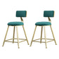 Glam Armless Backrest Counter Stool Steel Cafe Bar Stool with Velvet Cushion and Pedal Green 2 Piece Set Short Stool(18"H) Clearhalo 'Bar Furniture' 'Bar Stools' 'bar_stools' 'furn' 'furn_bar_stools' 'furniture_bar_stools' 'Kitchen & Dining Furniture' 'kitchen&dining_furn' 'kitchen' 'kitchen_furn' Furniture' 4587317