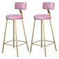 Glam Armless Backrest Counter Stool Steel Cafe Bar Stool with Velvet Cushion and Pedal Pink 2 Piece Set Clearhalo 'Bar Furniture' 'Bar Stools' 'bar_stools' 'furn' 'furn_bar_stools' 'furniture_bar_stools' 'Kitchen & Dining Furniture' 'kitchen&dining_furn' 'kitchen' 'kitchen_furn' Furniture' 4587320