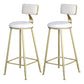 Glam Armless Backrest Counter Stool Steel Cafe Bar Stool with Velvet Cushion and Pedal White 2 Piece Set Clearhalo 'Bar Furniture' 'Bar Stools' 'bar_stools' 'furn' 'furn_bar_stools' 'furniture_bar_stools' 'Kitchen & Dining Furniture' 'kitchen&dining_furn' 'kitchen' 'kitchen_furn' Furniture' 4587324