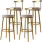 Glam Armless Backrest Counter Stool Iron Kitchen Bar Stool with Cushion and Pedal Light Gray 4 Piece Set Clearhalo 'Bar Furniture' 'Bar Stools' 'bar_stools' 'furn' 'furn_bar_stools' 'furniture_bar_stools' 'Kitchen & Dining Furniture' 'kitchen&dining_furn' 'kitchen' 'kitchen_furn' Furniture' 4587745