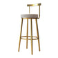 Glam Armless Backrest Counter Stool Iron Kitchen Bar Stool with Cushion and Pedal Light Gray 1 Piece Clearhalo 'Bar Furniture' 'Bar Stools' 'bar_stools' 'furn' 'furn_bar_stools' 'furniture_bar_stools' 'Kitchen & Dining Furniture' 'kitchen&dining_furn' 'kitchen' 'kitchen_furn' Furniture' 4587746