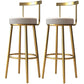 Glam Armless Backrest Counter Stool Iron Kitchen Bar Stool with Cushion and Pedal Light Gray 2 Piece Set Clearhalo 'Bar Furniture' 'Bar Stools' 'bar_stools' 'furn' 'furn_bar_stools' 'furniture_bar_stools' 'Kitchen & Dining Furniture' 'kitchen&dining_furn' 'kitchen' 'kitchen_furn' Furniture' 4587749