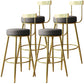 Glam Armless Backrest Counter Stool Iron Kitchen Bar Stool with Cushion and Pedal Dark Gray 4 Piece Set Clearhalo 'Bar Furniture' 'Bar Stools' 'bar_stools' 'furn' 'furn_bar_stools' 'furniture_bar_stools' 'Kitchen & Dining Furniture' 'kitchen&dining_furn' 'kitchen' 'kitchen_furn' Furniture' 4587750