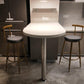 Glam Armless Backrest Counter Stool Iron Kitchen Bar Stool with Cushion and Pedal Clearhalo 'Bar Furniture' 'Bar Stools' 'bar_stools' 'furn' 'furn_bar_stools' 'furniture_bar_stools' 'Kitchen & Dining Furniture' 'kitchen&dining_furn' 'kitchen' 'kitchen_furn' Furniture' 4587751
