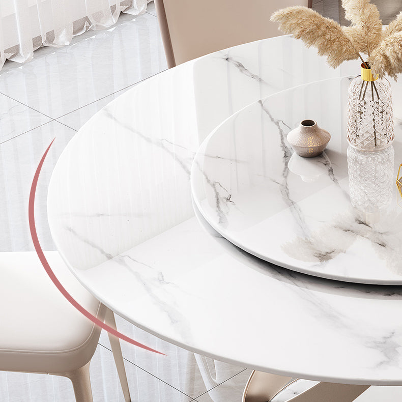 Round Dining Table Luxury Style Stone Pedestal Dinner Table with Turntable Clearhalo ' dining_table' 'Dining Tables & Seating' 'Dining Tables' 'furn' 'furn_dining_table' 'Furniture' 'furniture_dining_table' 'Kitchen & Dining Furniture' 'kitchen&dining_furn' 'kitchen' 'kitchen_dining_table' 4588410