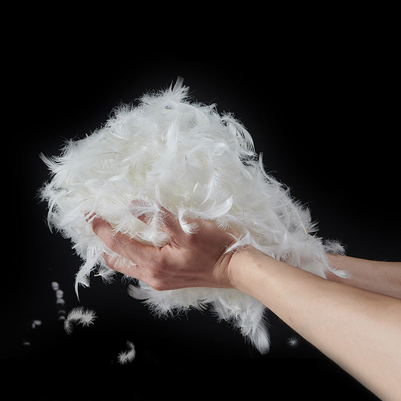 Transitional Modern Cushions Sofa 27.6"High Pillow Top Arm Sofa, Beige Clearhalo 'furn' 'furn_sofas' 'Furniture' 'furniture_sofas' 'kitchen' 'kitchen_sofas' 'Living Room Furniture' 'Sofa' 'sofas' 4592156