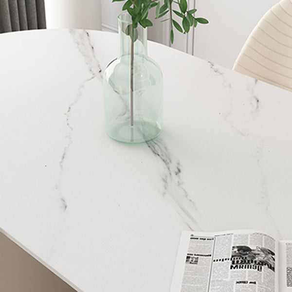 Metal Traditional Luxury Freeform Table Sintered Stone Table with Double Pedestal Clearhalo ' dining_table' 'Dining Tables & Seating' 'Dining Tables' 'furn' 'furn_dining_table' 'Furniture' 'furniture_dining_table' 'Kitchen & Dining Furniture' 'kitchen&dining_furn' 'kitchen' 'kitchen_dining_table' 4599797