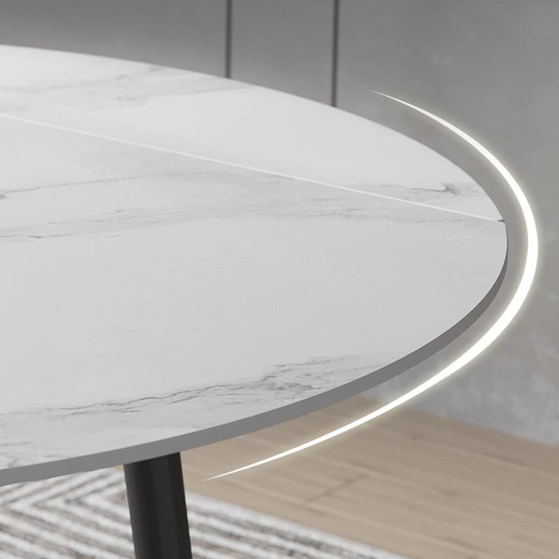 Stone Contemporary Round Dinner Table Matte Finish 4 Legs Table for Home Clearhalo ' dining_table' 'Dining Tables & Seating' 'Dining Tables' 'furn' 'furn_dining_table' 'Furniture' 'furniture_dining_table' 'Kitchen & Dining Furniture' 'kitchen&dining_furn' 'kitchen' 'kitchen_dining_table' 4600060