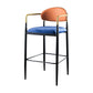 Contemporary Metal Bar Stools Indoor Barstool with Metal Legs and Low Back Orange 1 Piece Clearhalo 'Bar Furniture' 'Bar Stools' 'bar_stools' 'furn' 'furn_bar_stools' 'furniture_bar_stools' 'Kitchen & Dining Furniture' 'kitchen&dining_furn' 'kitchen' 'kitchen_furn' Furniture' 4611427