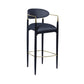 Contemporary Metal Bar Stools Indoor Barstool with Metal Legs and Low Back Clearhalo 'Bar Furniture' 'Bar Stools' 'bar_stools' 'furn' 'furn_bar_stools' 'furniture_bar_stools' 'Kitchen & Dining Furniture' 'kitchen&dining_furn' 'kitchen' 'kitchen_furn' Furniture' 4611434