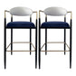 Contemporary Metal Bar Stools Indoor Barstool with Metal Legs and Low Back White 2 Piece Set Clearhalo 'Bar Furniture' 'Bar Stools' 'bar_stools' 'furn' 'furn_bar_stools' 'furniture_bar_stools' 'Kitchen & Dining Furniture' 'kitchen&dining_furn' 'kitchen' 'kitchen_furn' Furniture' 4611436