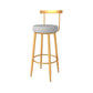 Modern Style Metal Bar Stool with Footrest and Low Back Casual Bar Stool Clearhalo 'Bar Furniture' 'Bar Stools' 'bar_stools' 'furn' 'furn_bar_stools' 'furniture_bar_stools' 'Kitchen & Dining Furniture' 'kitchen&dining_furn' 'kitchen' 'kitchen_furn' Furniture' 4611641