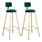 Modern Style Metal Bar Stool with Footrest and Low Back Bistro Lounge Bar Stool Green 2 Piece Set Clearhalo 'Bar Furniture' 'Bar Stools' 'bar_stools' 'furn' 'furn_bar_stools' 'furniture_bar_stools' 'Kitchen & Dining Furniture' 'kitchen&dining_furn' 'kitchen' 'kitchen_furn' Furniture' 4611655