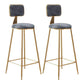 Modern Style Metal Bar Stool with Footrest and Low Back Bistro Lounge Bar Stool Grey 2 Piece Set Clearhalo 'Bar Furniture' 'Bar Stools' 'bar_stools' 'furn' 'furn_bar_stools' 'furniture_bar_stools' 'Kitchen & Dining Furniture' 'kitchen&dining_furn' 'kitchen' 'kitchen_furn' Furniture' 4611658