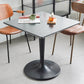 Industrial Style Dining Site Table Plastic Dining Room Collection with Tulip Base Clearhalo ' dining_table' 'Dining Tables & Seating' 'Dining Tables' 'furn' 'furn_dining_table' 'Furniture' 'furniture_dining_table' 'Kitchen & Dining Furniture' 'kitchen&dining_furn' 'kitchen' 'kitchen_dining_table' 4612447