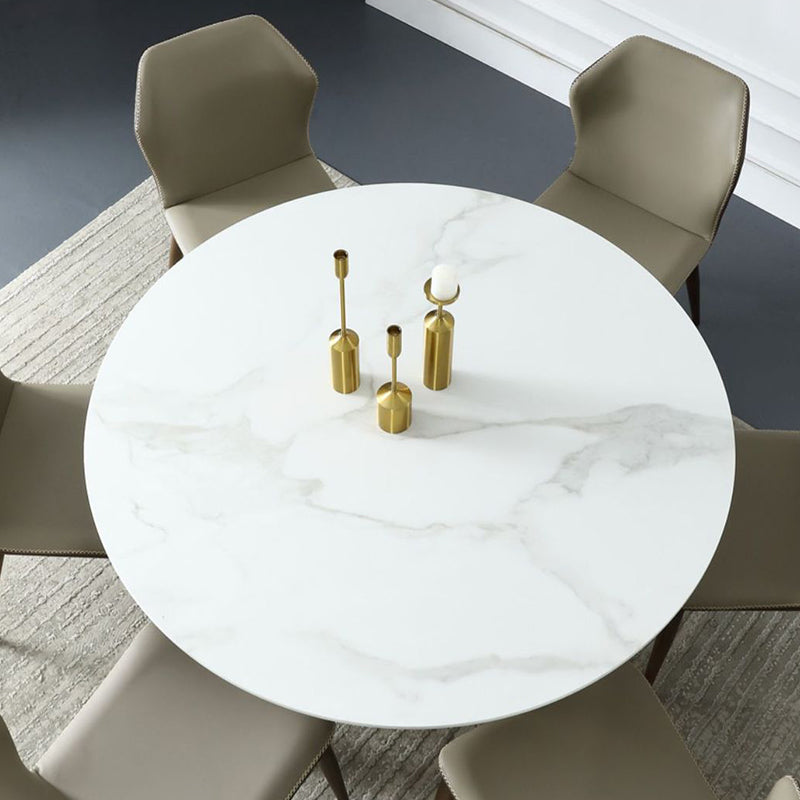 Stone Top Dining Table Contemporary Dining Table with Brown Pedestal Base Clearhalo ' dining_table' 'Dining Tables & Seating' 'Dining Tables' 'furn' 'furn_dining_table' 'Furniture' 'furniture_dining_table' 'Kitchen & Dining Furniture' 'kitchen&dining_furn' 'kitchen' 'kitchen_dining_table' 4612752