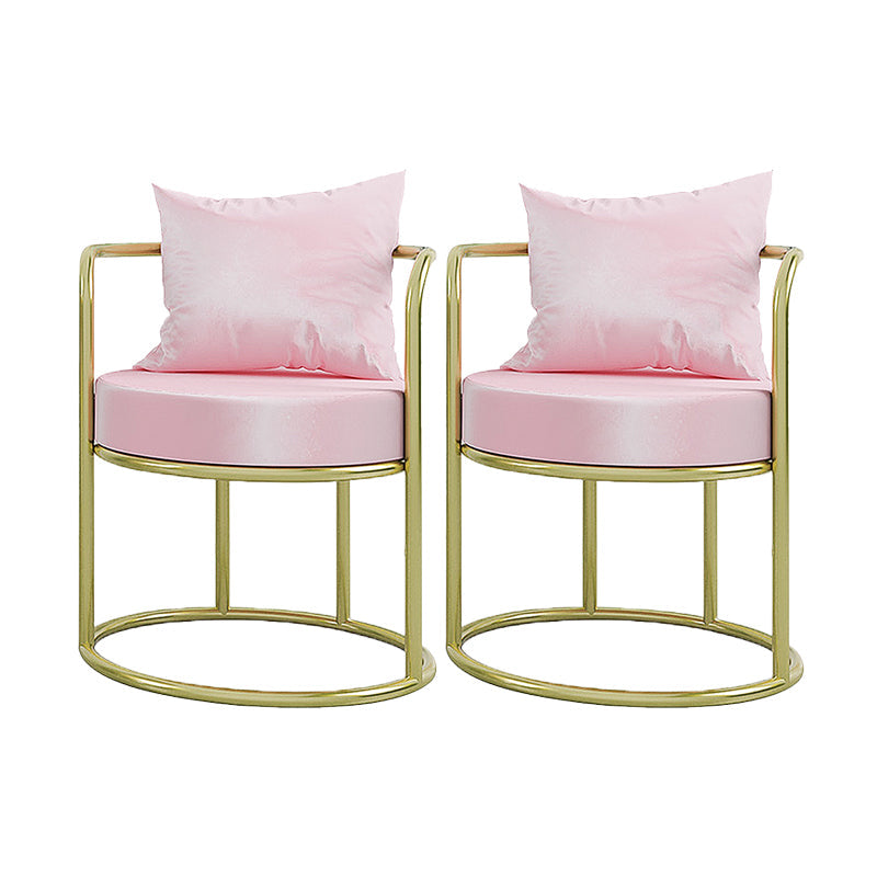 Glam Metal Dining Room Chairs Velvet Side Chair for Home Use Pink 2 Piece Set Clearhalo ' kitchen&dining_furn' 'Dining Chairs' 'Dining Tables & Seating' 'dining_chair' 'furn' 'furn_dining_chair' 'Furniture' 'furniture_dining_chair' 'Kitchen & Dining Furniture' 'kitchen' 4613302