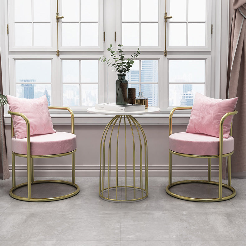 Nordic Style Metal Dining Room Chairs Velvet Dining Chair for Restaurant Use Clearhalo ' kitchen&dining_furn' 'Dining Chairs' 'Dining Tables & Seating' 'dining_chair' 'furn' 'furn_dining_chair' 'Furniture' 'furniture_dining_chair' 'Kitchen & Dining Furniture' 'kitchen' 4613431