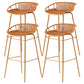 Nordic Metal Low Back Barstool Simple Indoor Tall Stool with Plastic Seat Yellow 4 Piece Set Clearhalo 'Bar Furniture' 'Bar Stools' 'bar_stools' 'furn' 'furn_bar_stools' 'furniture_bar_stools' 'Kitchen & Dining Furniture' 'kitchen&dining_furn' 'kitchen' 'kitchen_furn' Furniture' 4615476