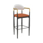 Scandinavian Metal Upholstered Counter Stools Armed Bar Stools with Footrest Orange 1 Piece Clearhalo 'Bar Furniture' 'Bar Stools' 'bar_stools' 'furn' 'furn_bar_stools' 'furniture_bar_stools' 'Kitchen & Dining Furniture' 'kitchen&dining_furn' 'kitchen' 'kitchen_furn' Furniture' 4620230