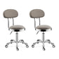 Modern Adjustable Rotatable Counter Stool Steel Kitchen Bar Stool with Cushion Grey 2 Piece Set Clearhalo 'Bar Furniture' 'Bar Stools' 'bar_stools' 'furn' 'furn_bar_stools' 'furniture_bar_stools' 'Kitchen & Dining Furniture' 'kitchen&dining_furn' 'kitchen' 'kitchen_furn' Furniture' 4624738