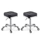 Modern Adjustable Rotatable Counter Stool Steel Kitchen Bar Stool with Cushion Textured Black 2 Piece Set Clearhalo 'Bar Furniture' 'Bar Stools' 'bar_stools' 'furn' 'furn_bar_stools' 'furniture_bar_stools' 'Kitchen & Dining Furniture' 'kitchen&dining_furn' 'kitchen' 'kitchen_furn' Furniture' 4624747