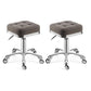 Modern Adjustable Rotatable Counter Stool Steel Kitchen Bar Stool with Cushion Light Gray 2 Piece Set Clearhalo 'Bar Furniture' 'Bar Stools' 'bar_stools' 'furn' 'furn_bar_stools' 'furniture_bar_stools' 'Kitchen & Dining Furniture' 'kitchen&dining_furn' 'kitchen' 'kitchen_furn' Furniture' 4624750
