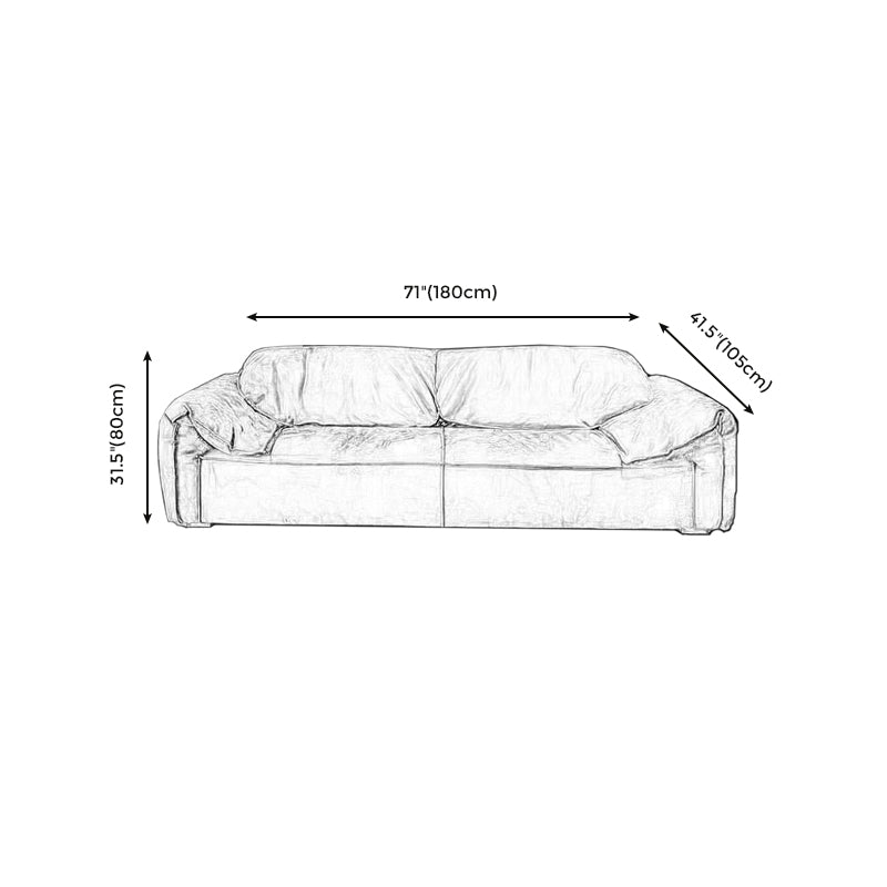 Modern Pillow Top Arm Standard Sofa Impermeable Sofa for Living Room, Apartment Clearhalo 'furn' 'furn_sofas' 'Furniture' 'furniture_sofas' 'kitchen' 'kitchen_sofas' 'Living Room Furniture' 'Sofa' 'sofas' 4625406