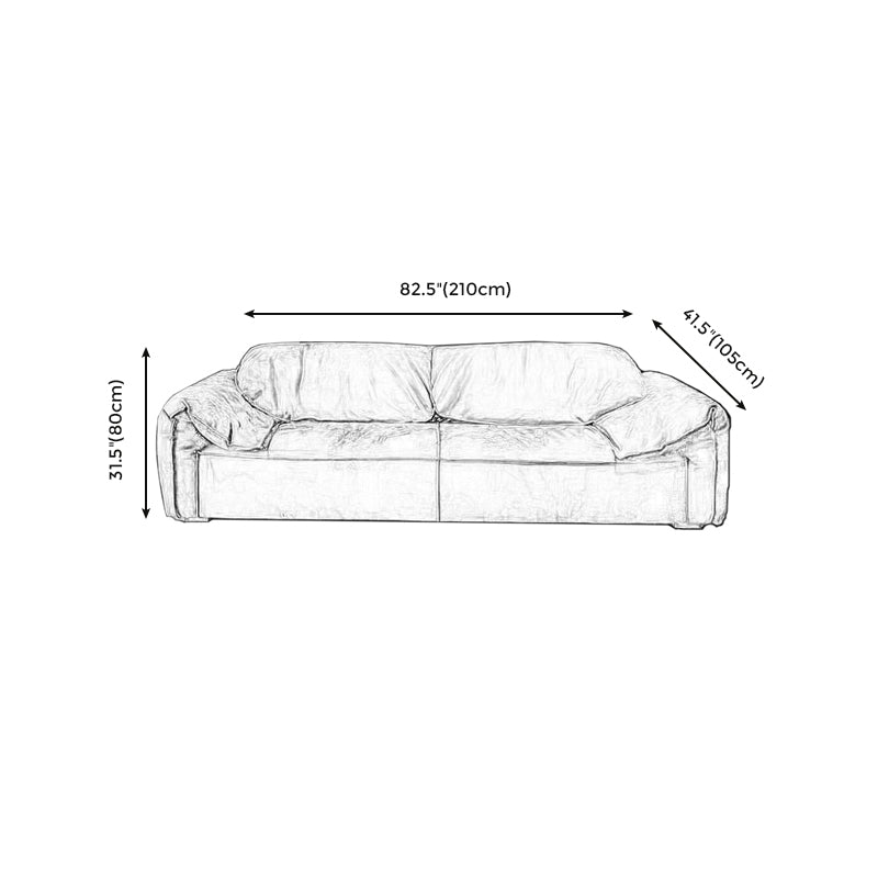 Modern Pillow Top Arm Standard Sofa Impermeable Sofa for Living Room, Apartment Clearhalo 'furn' 'furn_sofas' 'Furniture' 'furniture_sofas' 'kitchen' 'kitchen_sofas' 'Living Room Furniture' 'Sofa' 'sofas' 4625407