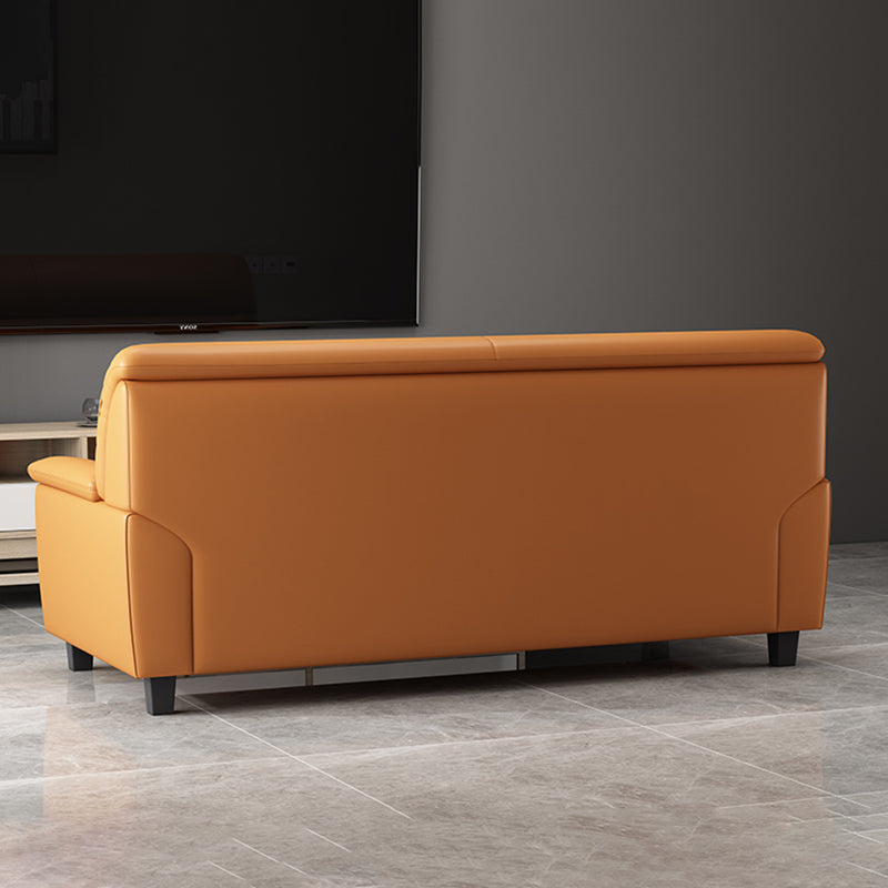 Modern Pillow Top Arm Sewn Pillow Back Single Cushion Seat for Living Room Clearhalo 'furn' 'furn_sofas' 'Furniture' 'furniture_sofas' 'kitchen' 'kitchen_sofas' 'Living Room Furniture' 'Sofa' 'sofas' 4637837