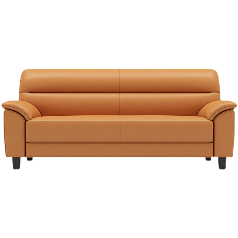 Sewn Pillow Back Faux Leather Pillow Top Arm Sofa with Stain Resistant Clearhalo 'furn' 'furn_sofas' 'Furniture' 'furniture_sofas' 'kitchen' 'kitchen_sofas' 'Living Room Furniture' 'Sofa' 'sofas' 4638067