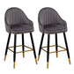 Modern Armless Backrest Counter Stool Iron Bar Stool with Velvet Cushion and Pedal Dark Gray 2 Piece Set Clearhalo 'Bar Furniture' 'Bar Stools' 'bar_stools' 'furn' 'furn_bar_stools' 'furniture_bar_stools' 'Kitchen & Dining Furniture' 'kitchen&dining_furn' 'kitchen' 'kitchen_furn' Furniture' 4639979