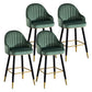 Modern Armless Backrest Counter Stool Iron Bar Stool with Velvet Cushion and Pedal Green 4 Piece Set Clearhalo 'Bar Furniture' 'Bar Stools' 'bar_stools' 'furn' 'furn_bar_stools' 'furniture_bar_stools' 'Kitchen & Dining Furniture' 'kitchen&dining_furn' 'kitchen' 'kitchen_furn' Furniture' 4639997