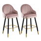 Modern Armless Backrest Counter Stool Iron Bar Stool with Velvet Cushion and Pedal Cameo Brown 2 Piece Set Clearhalo 'Bar Furniture' 'Bar Stools' 'bar_stools' 'furn' 'furn_bar_stools' 'furniture_bar_stools' 'Kitchen & Dining Furniture' 'kitchen&dining_furn' 'kitchen' 'kitchen_furn' Furniture' 4639999