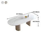 Oval Double Pedestal Glam Dining Table White Tone Fixed Table with Sintered Stone Clearhalo ' dining_table' 'Dining Tables & Seating' 'Dining Tables' 'furn' 'furn_dining_table' 'Furniture' 'furniture_dining_table' 'Kitchen & Dining Furniture' 'kitchen&dining_furn' 'kitchen' 'kitchen_dining_table' 4640380