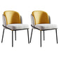 Modern Style Chairs Dining Armless Chairs with Metal Legs for Kitchen Yellow 2 Piece Set Clearhalo ' kitchen&dining_furn' 'Dining Chairs' 'Dining Tables & Seating' 'dining_chair' 'furn' 'furn_dining_chair' 'Furniture' 'furniture_dining_chair' 'Kitchen & Dining Furniture' 'kitchen' 4641396