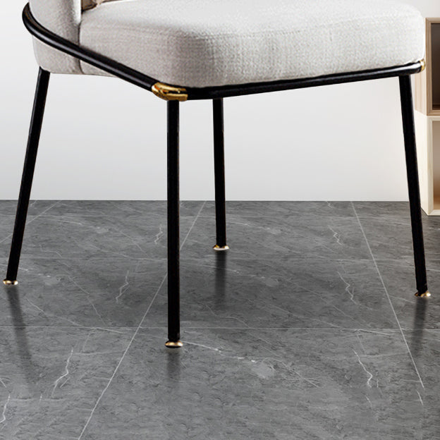 Modern Style Chairs Dining Armless Chairs with Metal Legs for Kitchen Clearhalo ' kitchen&dining_furn' 'Dining Chairs' 'Dining Tables & Seating' 'dining_chair' 'furn' 'furn_dining_chair' 'Furniture' 'furniture_dining_chair' 'Kitchen & Dining Furniture' 'kitchen' 4641397