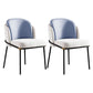 Modern Style Chairs Dining Armless Chairs with Metal Legs for Kitchen Blue 2 Piece Set Clearhalo ' kitchen&dining_furn' 'Dining Chairs' 'Dining Tables & Seating' 'dining_chair' 'furn' 'furn_dining_chair' 'Furniture' 'furniture_dining_chair' 'Kitchen & Dining Furniture' 'kitchen' 4641404