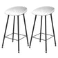 Industrial Style Bar-stool Bucket PP Seat Counter Stool for Kitchen Bar White 2 Piece Set Clearhalo 'Bar Furniture' 'Bar Stools' 'bar_stools' 'furn' 'furn_bar_stools' 'furniture_bar_stools' 'Kitchen & Dining Furniture' 'kitchen&dining_furn' 'kitchen' 'kitchen_furn' Furniture' 4644640