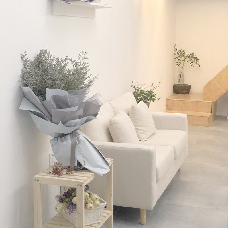 Scandinavian Pillow Top Arm Sofa with Sewn Pillow Back for Apartment Clearhalo 'Furniture' 'furniture_sofas' 'kitchen' 'kitchen_sofas' 'Living Room Furniture' 'Sofa' 'sofas' 4648240