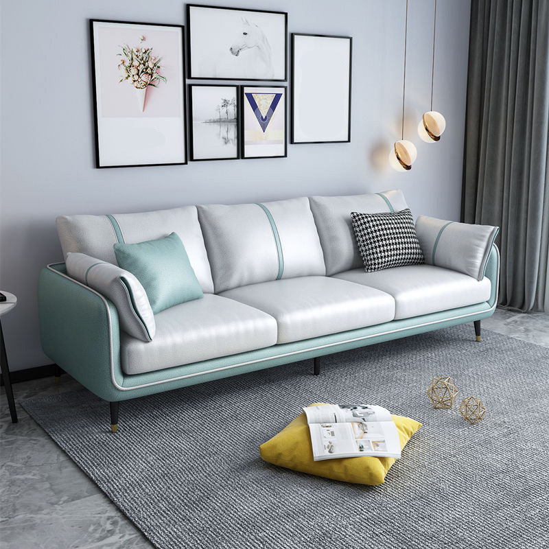 Stationary Stain Resistant 3 Seater Living Room Standard Sofa with Multiple Cushions Green-White Clearhalo 'furn' 'furn_sofas' 'Furniture' 'furniture_sofas' 'kitchen' 'kitchen_sofas' 'Living Room Furniture' 'Sofa' 'sofas' 4648301